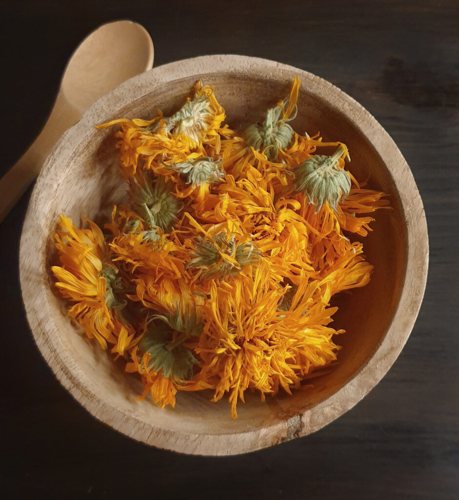 calendula