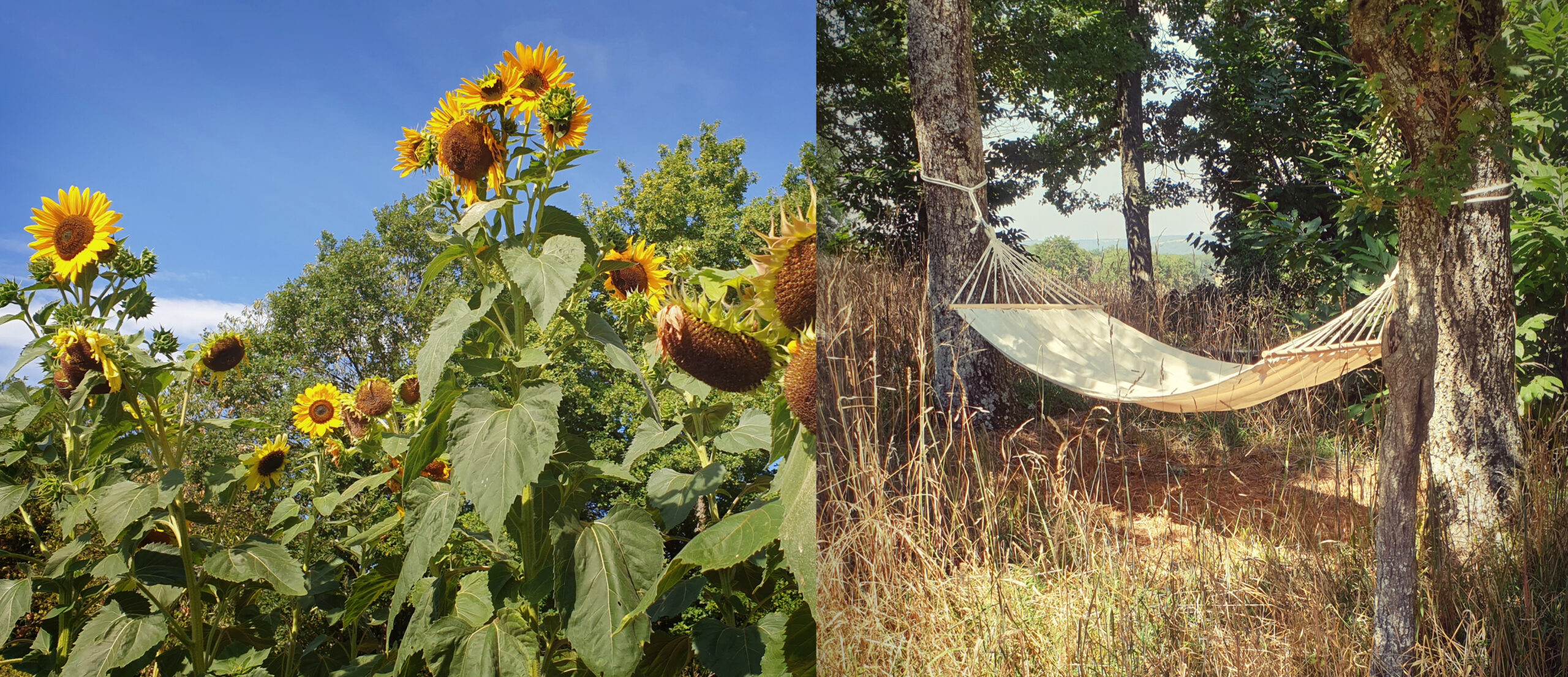 bannière été