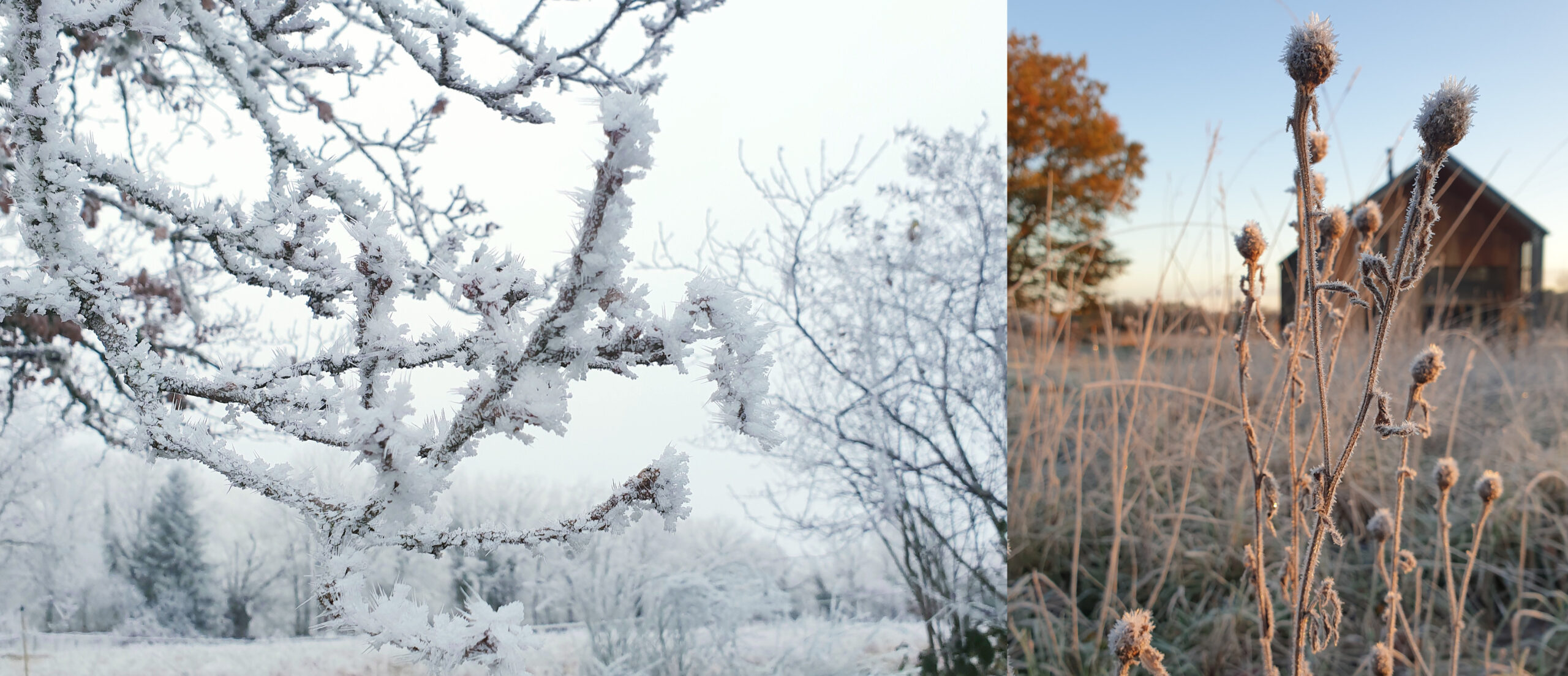 bannière hiver